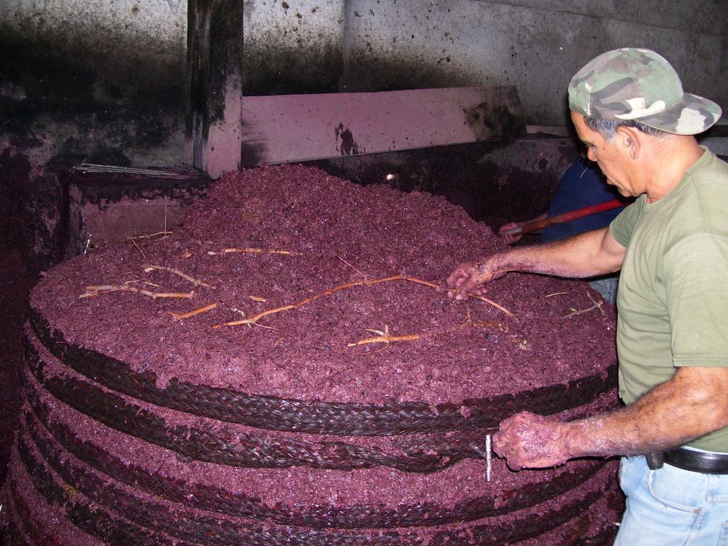Etna Wine Azienda Agrituristica Passopisciaro Экстерьер фото