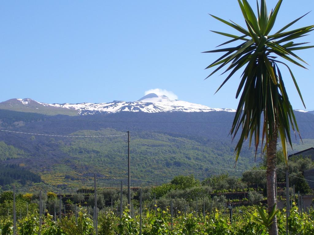 Etna Wine Azienda Agrituristica Passopisciaro Экстерьер фото