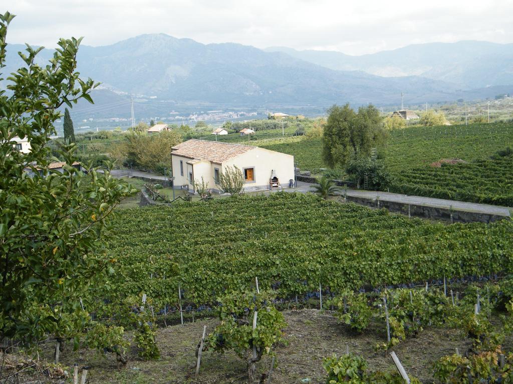 Etna Wine Azienda Agrituristica Passopisciaro Номер фото