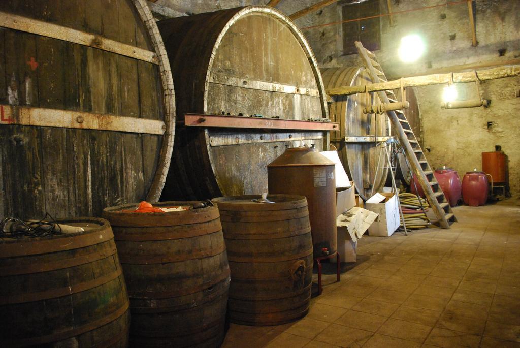 Etna Wine Azienda Agrituristica Passopisciaro Экстерьер фото